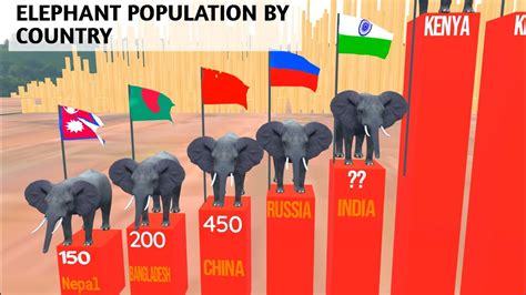 white elephant country|Countries with Elephants 2024 .